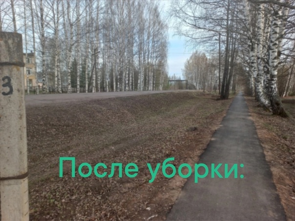 Акция «Юннатский субботник».