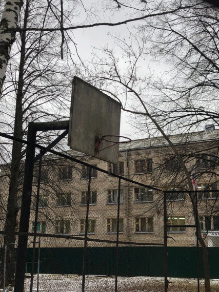 Новые искатели.
